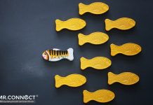 Tất cả những công ty hạnh phúc, đều khác biệt! Các công ty hạnh phúc đều khác biệt