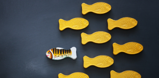 Tất cả những công ty hạnh phúc, đều khác biệt! Các công ty hạnh phúc đều khác biệt