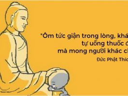 Ôm tức giận trong lòng, chẳng khác nào tự uống thuốc độc mà mong người khác chết Ôm tức giận trong lòng, khác gì tự uống thuốc độc, mà mong người khác chết