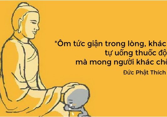 Ôm tức giận trong lòng, chẳng khác nào tự uống thuốc độc mà mong người khác chết Ôm tức giận trong lòng, khác gì tự uống thuốc độc, mà mong người khác chết