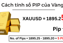 Pip là gì? Lot là gì ? Làm sao tính số Lot cụ thể để vào lệnh trong Forex Pip là gì? Lot là gì ? Làm sao tính số Lot cụ thể để vào lệnh trong Forex