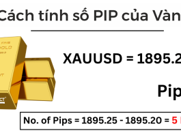 Pip là gì? Lot là gì ? Làm sao tính số Lot cụ thể để vào lệnh trong Forex Pip là gì? Lot là gì ? Làm sao tính số Lot cụ thể để vào lệnh trong Forex