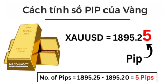 Pip là gì? Lot là gì ? Làm sao tính số Lot cụ thể để vào lệnh trong Forex Pip là gì? Lot là gì ? Làm sao tính số Lot cụ thể để vào lệnh trong Forex