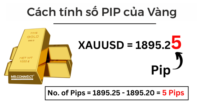 Pip là gì? Lot là gì ? Làm sao tính số Lot cụ thể để vào lệnh trong Forex