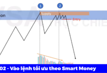 VSA 02: Cách vào lệnh tối ưu theo Smart Money VSA 02 - Cách vào lệnh tối ưu theo Smart Money