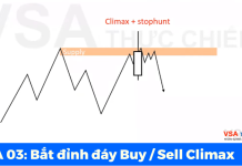 VSA 03: Bắt đỉnh đáy BUY SELL CLIMAX