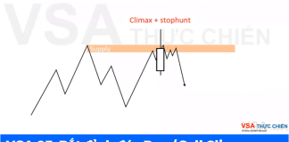 VSA 03: Bắt đỉnh đáy BUY SELL CLIMAX