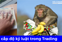 5 cấp độ kỷ luật trong Trading