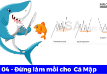 VSA 04 – Đừng làm mồi cho Cá Mập