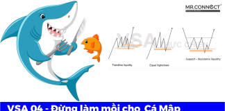 VSA 04 – Đừng làm mồi cho Cá Mập