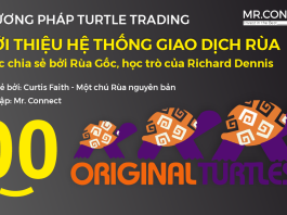He-thong-giao-dich-con-rua-Turtle-Trading-Richard-Dennis-MrConnect