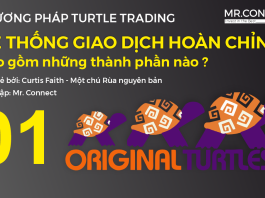 He-thong-giao-dich-con-rua-Turtle-Trading-He-thong-giao-dich-hoan-chinh-Richard-Dennis-MrConnect