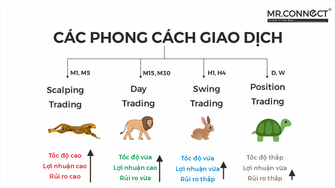 cac-phong-cach-giao-dich-trong-trading-mrconnect
