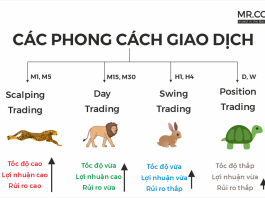 cac-phong-cach-giao-dich-trong-trading-mrconnect